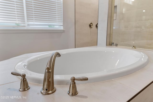 290 Marquesa Cir, Saint Johns, FL 32259 - interior details with a bath