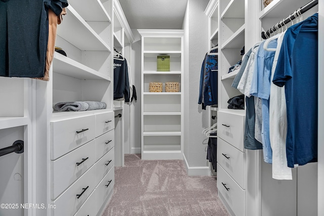290 Marquesa Cir, Saint Johns, FL 32259 - spacious closet with light colored carpet