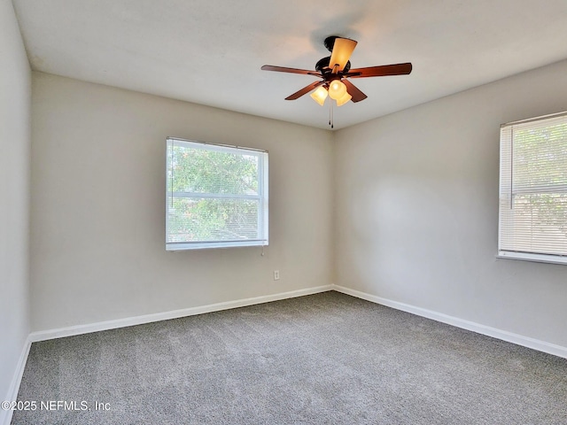 unfurnished room with carpet flooring, a wealth of natural light, and baseboards