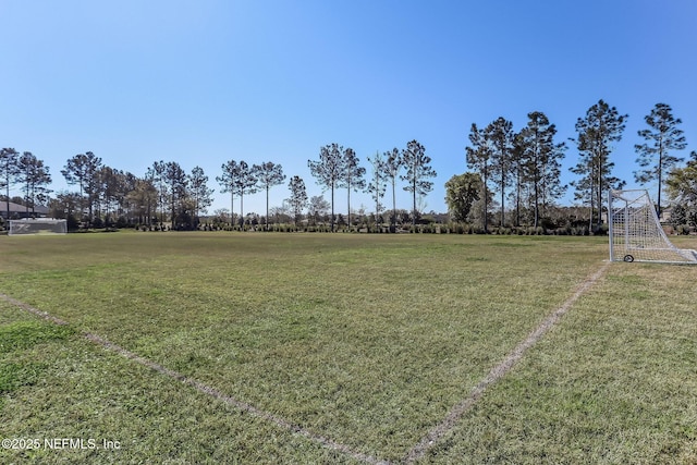 417 Palazzo Cir, Saint Augustine, FL 32092 - view of yard featuring an area for soccer