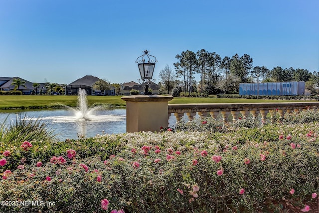 417 Palazzo Cir, Saint Augustine, FL 32092 - surrounding community with a water view and a yard