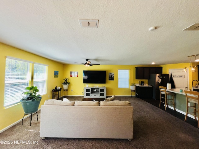 living room featuring a wealth of natural light, a textured ceiling, and carpet flooring