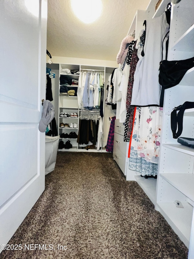 walk in closet featuring carpet flooring