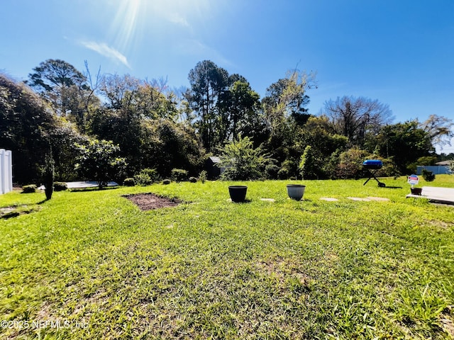 view of yard