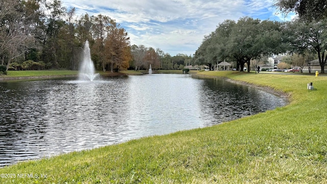 7701 Timberlin Park Blvd Unit 434, Jacksonville, FL 32256 - photo 29