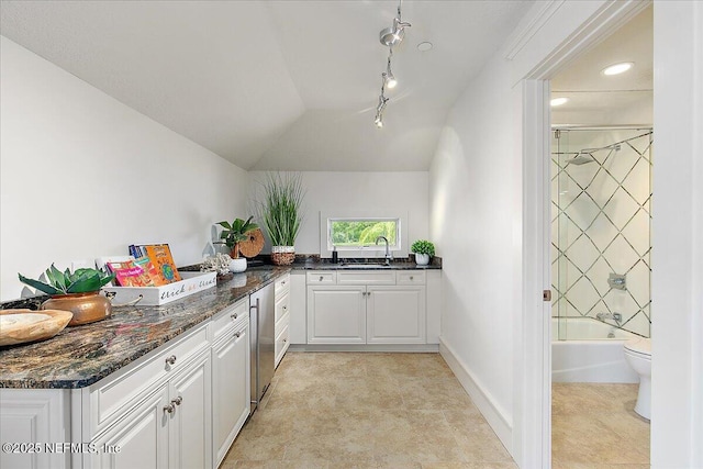 301 S Roscoe Blvd, Ponte Vedra Beach, FL 32082 - bar featuring a sink, stainless steel dishwasher, vaulted ceiling, and rail lighting