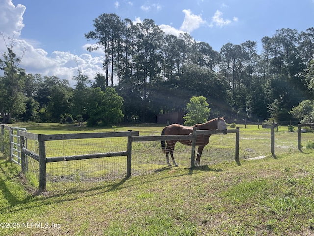 1417 Marlee Rd, Saint Johns, FL 32259 - view of yard featuring a view of countryside