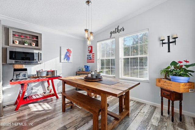 1417 Marlee Rd, Saint Johns, FL 32259 - dining space with ornamental molding, wood finished floors, baseboards, and a textured ceiling