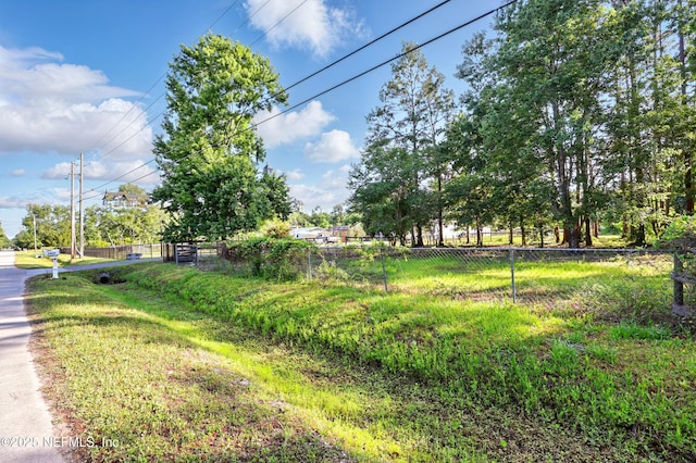 1417 Marlee Rd, Saint Johns, FL 32259 - view of yard with fence