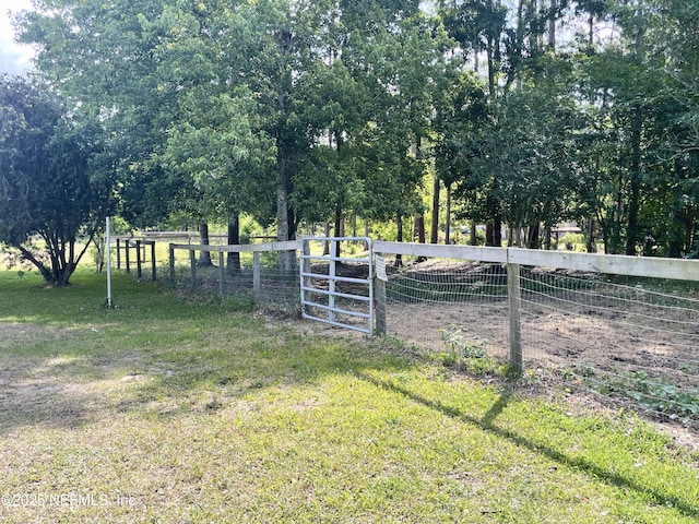 1417 Marlee Rd, Saint Johns, FL 32259 - view of yard