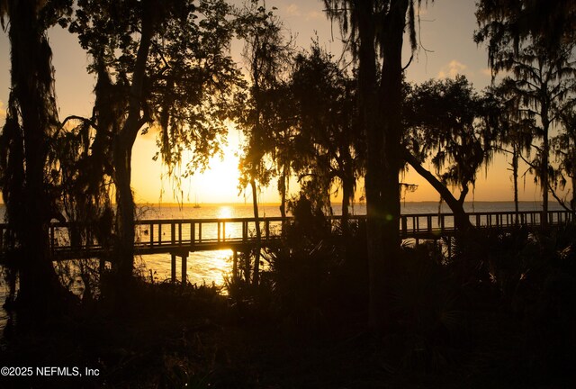 166 Whistling Straits Dr, Saint Johns, FL 32259 - property view of water