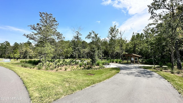 166 Whistling Straits Dr, Saint Johns, FL 32259 - view of road