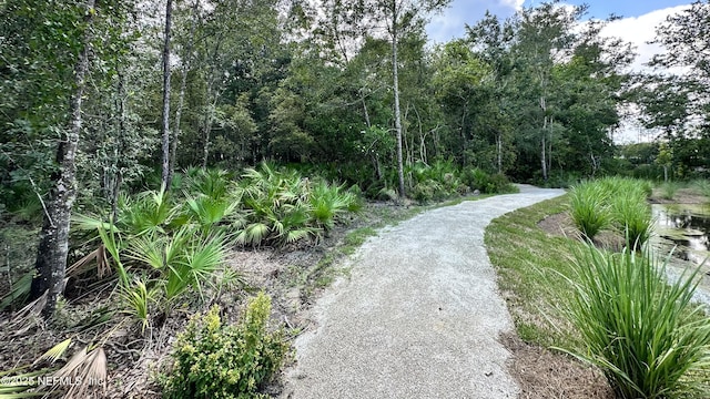 166 Whistling Straits Dr, Saint Johns, FL 32259 - view of community