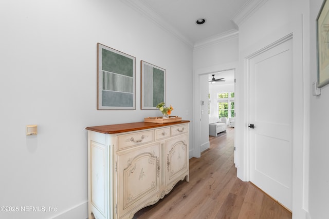 hallway featuring light wood-style floors and ornamental molding