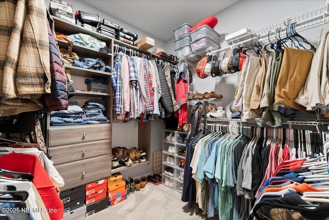walk in closet featuring carpet floors