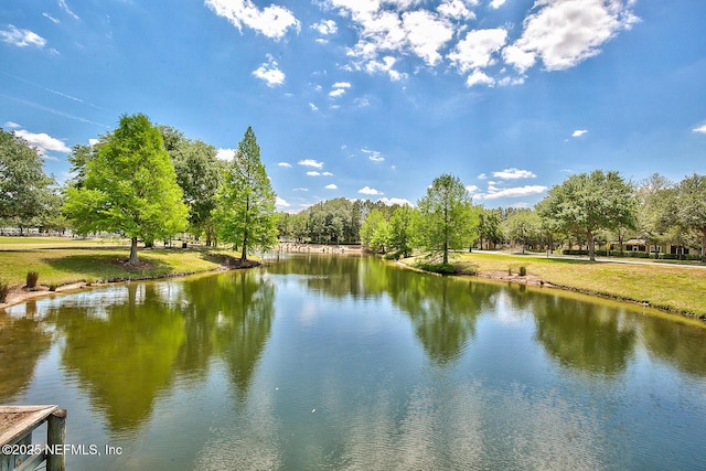 3753 Old Hickory Ln, Orange Park, FL 32065 - property view of water