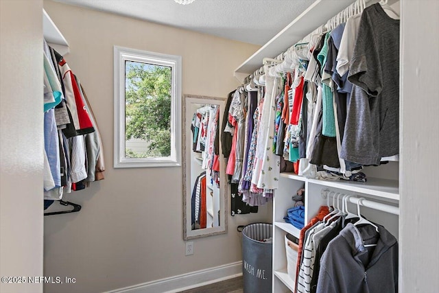 view of spacious closet