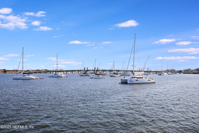 237 Riberia St, Saint Augustine, FL 32084 - water view