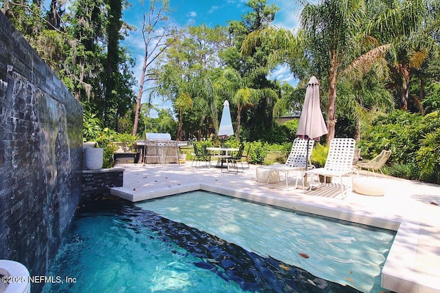 outdoor pool featuring a patio