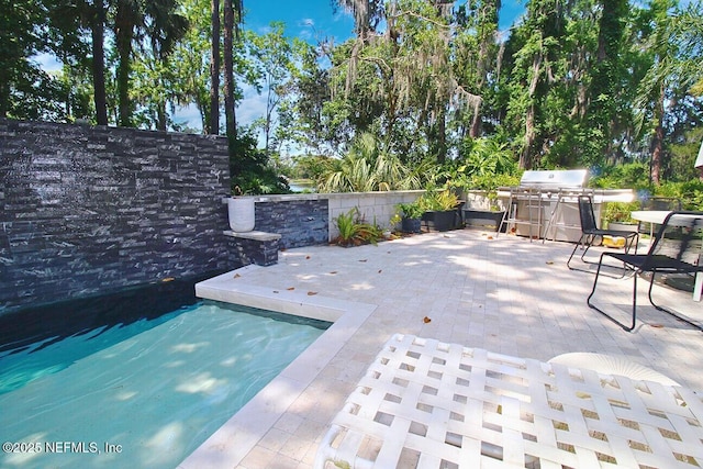 view of patio featuring area for grilling