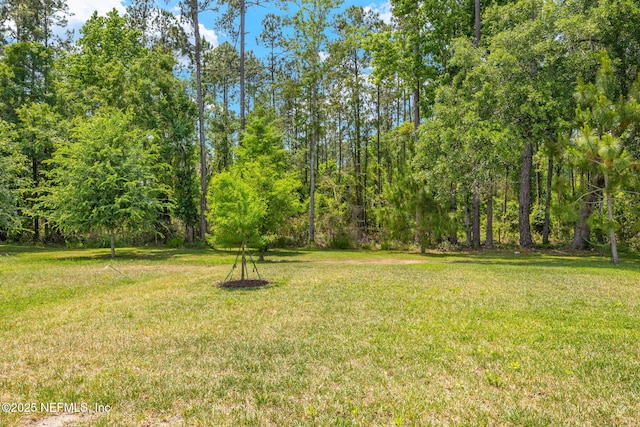 view of green lawn