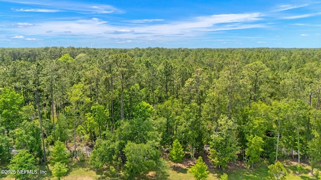 view of tree filled area