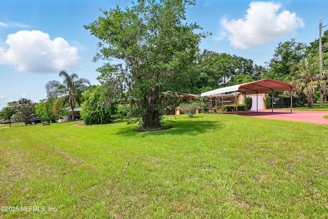 view of yard with concrete driveway and a detached carport
