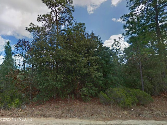 114 Dave St, Interlachen, FL 32148