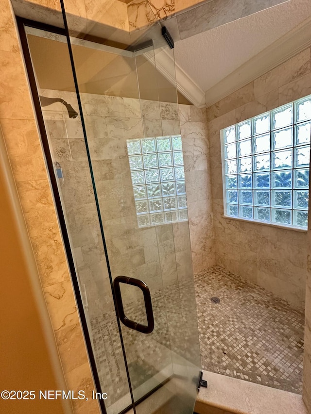 bathroom featuring vaulted ceiling and a stall shower