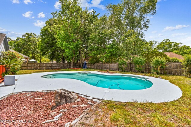 836 Hickory Springs Ln, Jacksonville, FL 32221 - photo 6