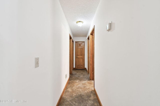 836 Hickory Springs Ln, Jacksonville, FL 32221 - photo 40