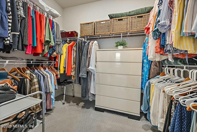 21 Yellow Iris Ct, Ponte Vedra, FL 32081 - spacious closet featuring carpet flooring