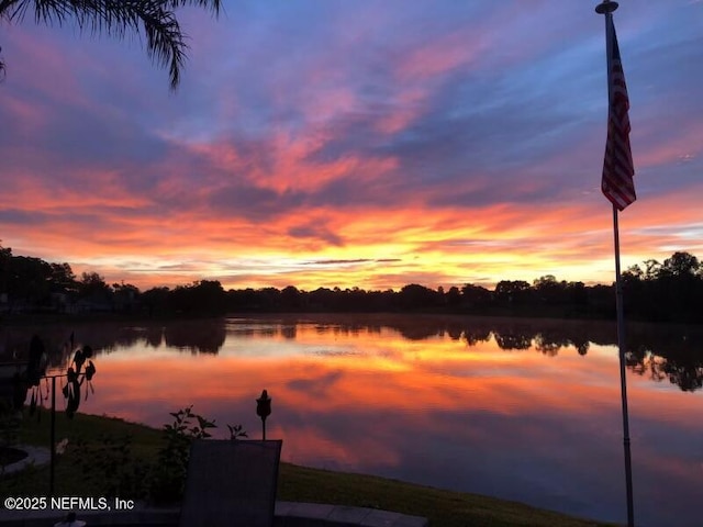 property view of water