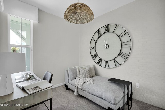 living area featuring baseboards and carpet
