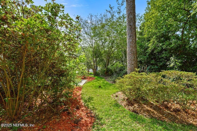 11598 Lazy Willow Ln, Jacksonville, FL 32223 - view of yard