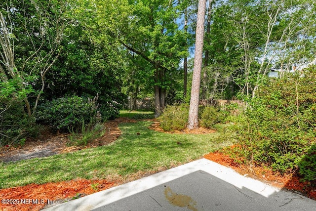 11598 Lazy Willow Ln, Jacksonville, FL 32223 - view of grassy yard