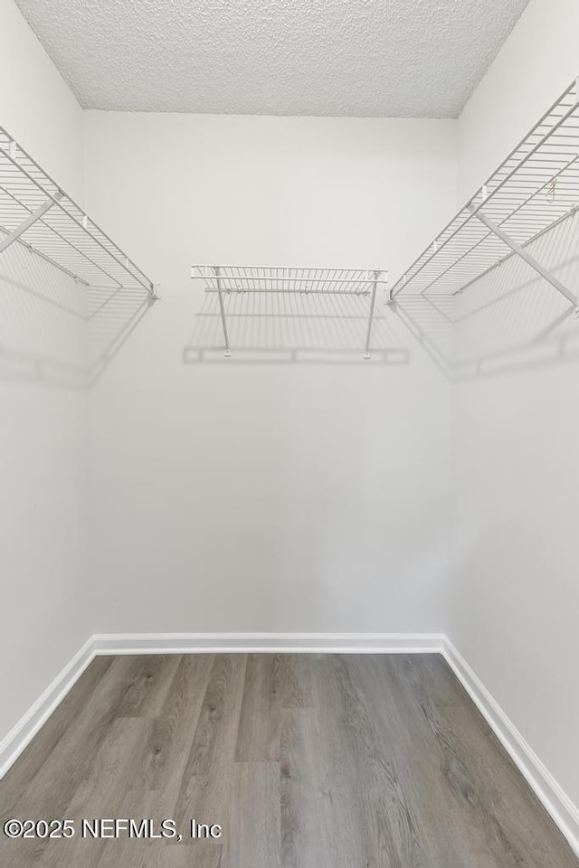 11598 Lazy Willow Ln, Jacksonville, FL 32223 - spacious closet with wood finished floors