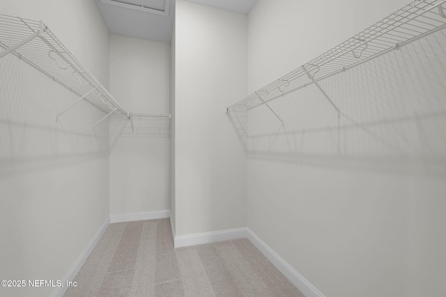 440 Slash Pine Pl, Yulee, FL 32097 - spacious closet featuring carpet flooring