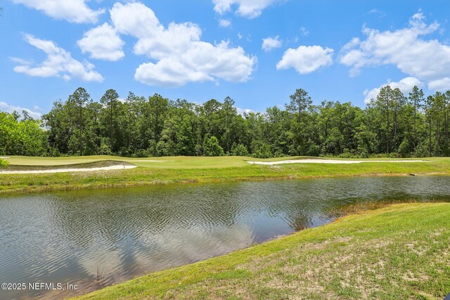 101 Greenie Bnd, Saint Johns, FL 32259 - photo 47