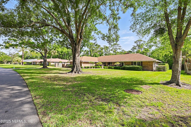 7805 Hunters Grove Rd, Jacksonville, FL 32256 - ranch-style house featuring a front yard