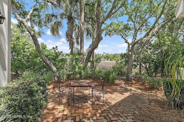 408 Osprey Lookout Ct Unit 29, Ponte Vedra Beach, FL 32082 - view of patio