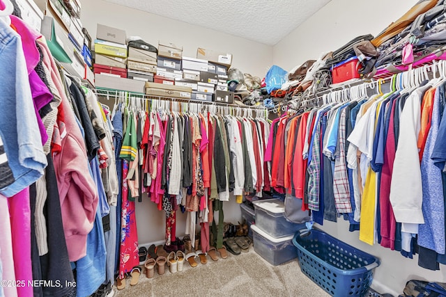 spacious closet with carpet flooring