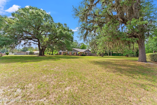 127 Old Jennings Rd, Orange Park, FL 32065 - view of yard