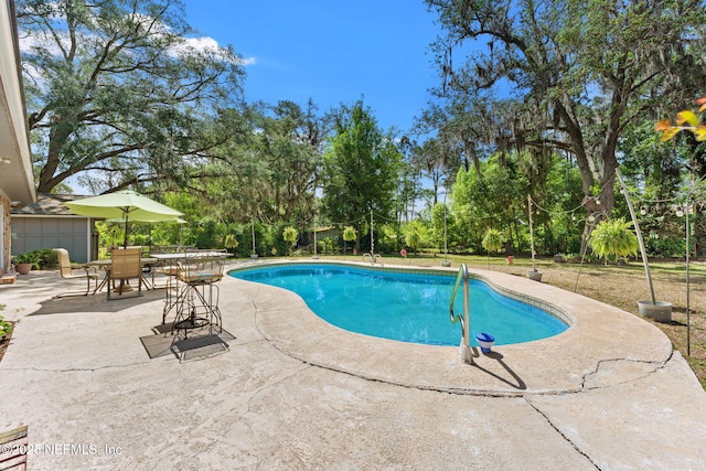 127 Old Jennings Rd, Orange Park, FL 32065 - pool featuring a patio area