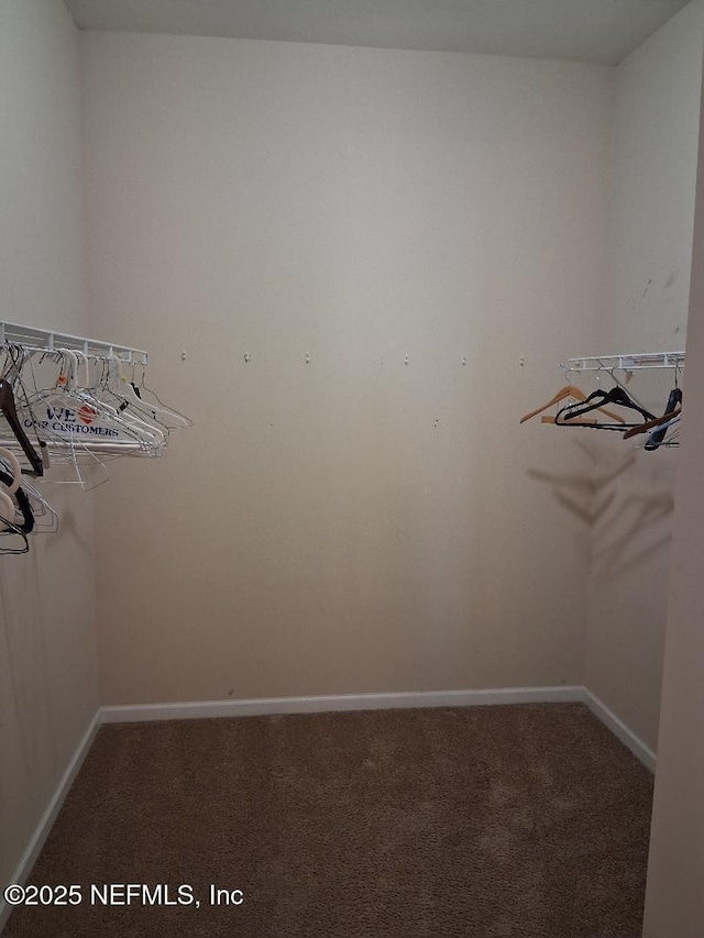 walk in closet featuring carpet floors
