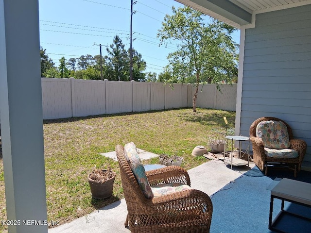 view of yard featuring a fenced backyard and a patio area