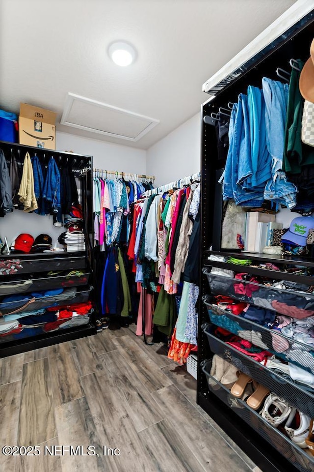 45103 Amhurst Oaks Dr, Callahan, FL 32011 - spacious closet featuring wood finished floors and attic access