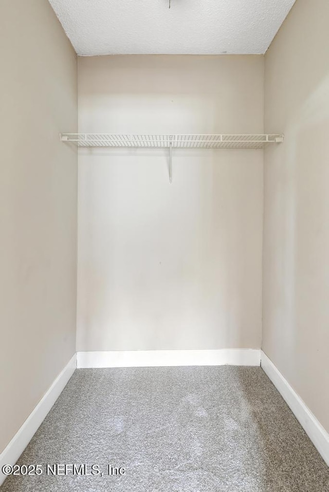 walk in closet with carpet floors