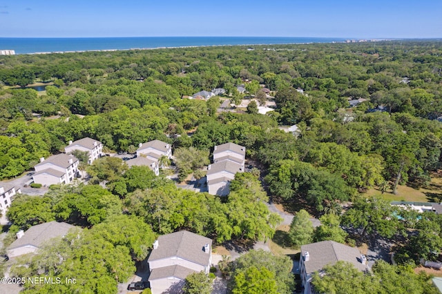 4746 Gulfstream Ct, Fernandina Beach, FL 32034 - birds eye view of property featuring a water view, a forest view, and a residential view