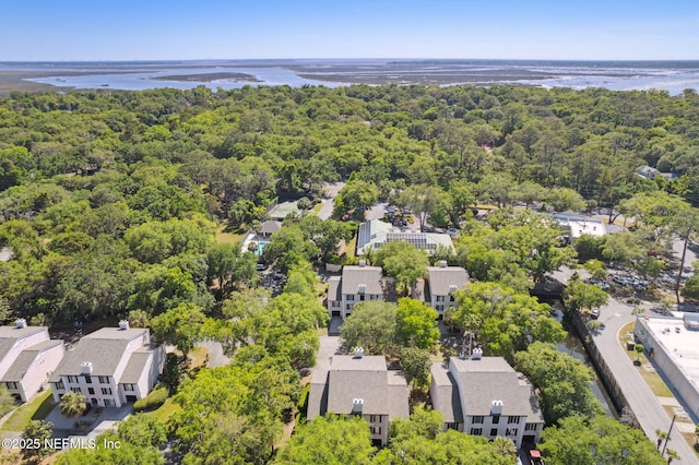4746 Gulfstream Ct, Fernandina Beach, FL 32034 - aerial view with a water view, a forest view, and a residential view